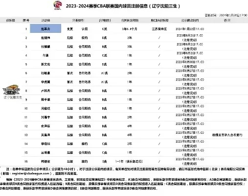 cba门票网上订票官网上海怎么购买？