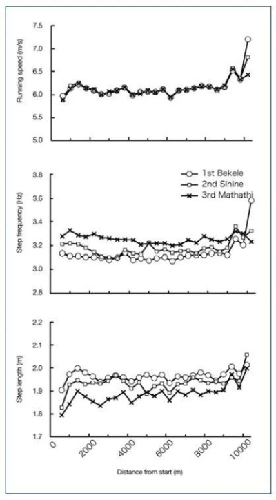 介绍马拉松冠军的步幅步频方法