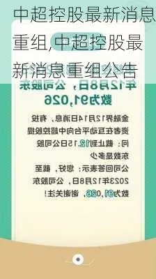 中超控股重组最新消息股权变动情况公布-第3张图片-www.211178.com_果博福布斯