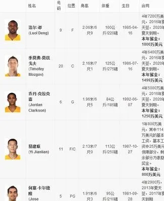 2014年nba球员年薪排名 2014年nba前十球员-第1张图片-www.211178.com_果博福布斯